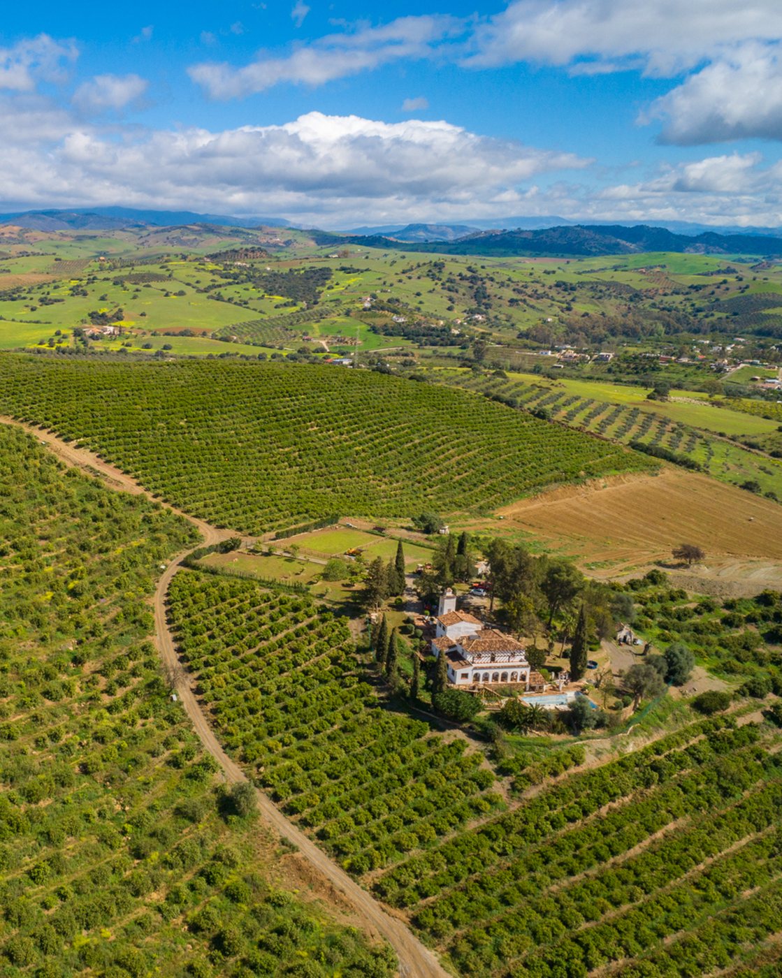Vista aérea de un cortijo andaluz tradicional rodeado de plantaciones de aguacate Hass en la Axarquía